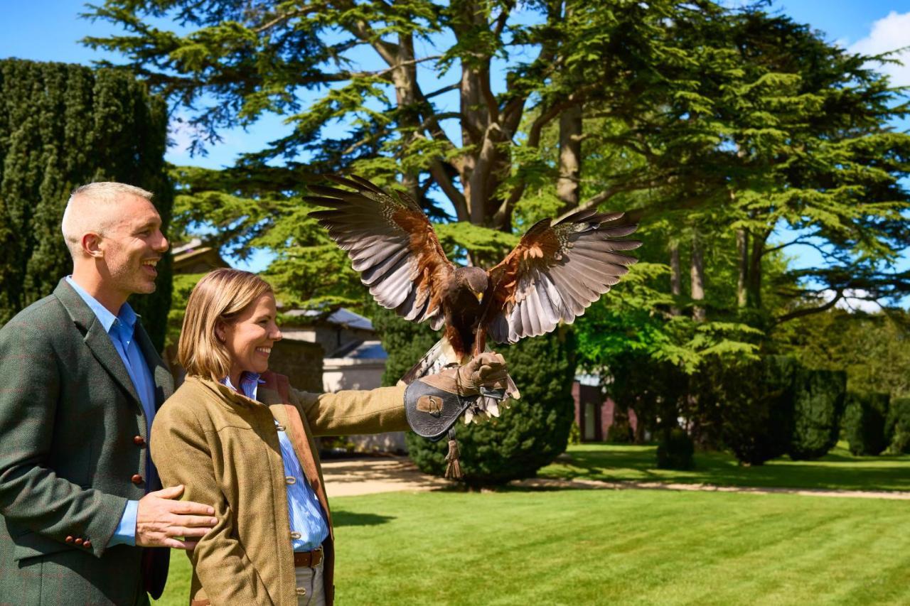 Carton House A Fairmont Managed Hotel Maynooth Extérieur photo Visitors at the Hawk Conservancy Trust