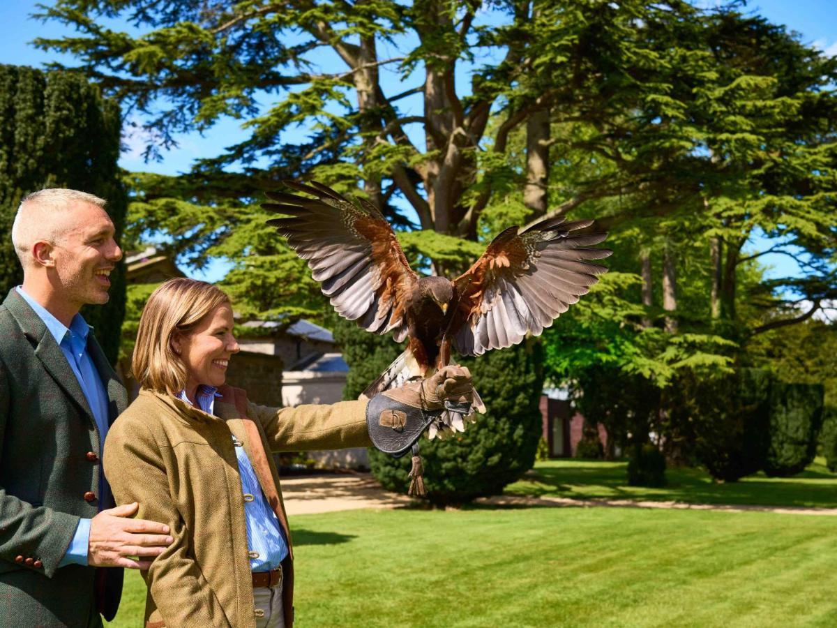 Carton House A Fairmont Managed Hotel Maynooth Extérieur photo Falconry at the London Zoo