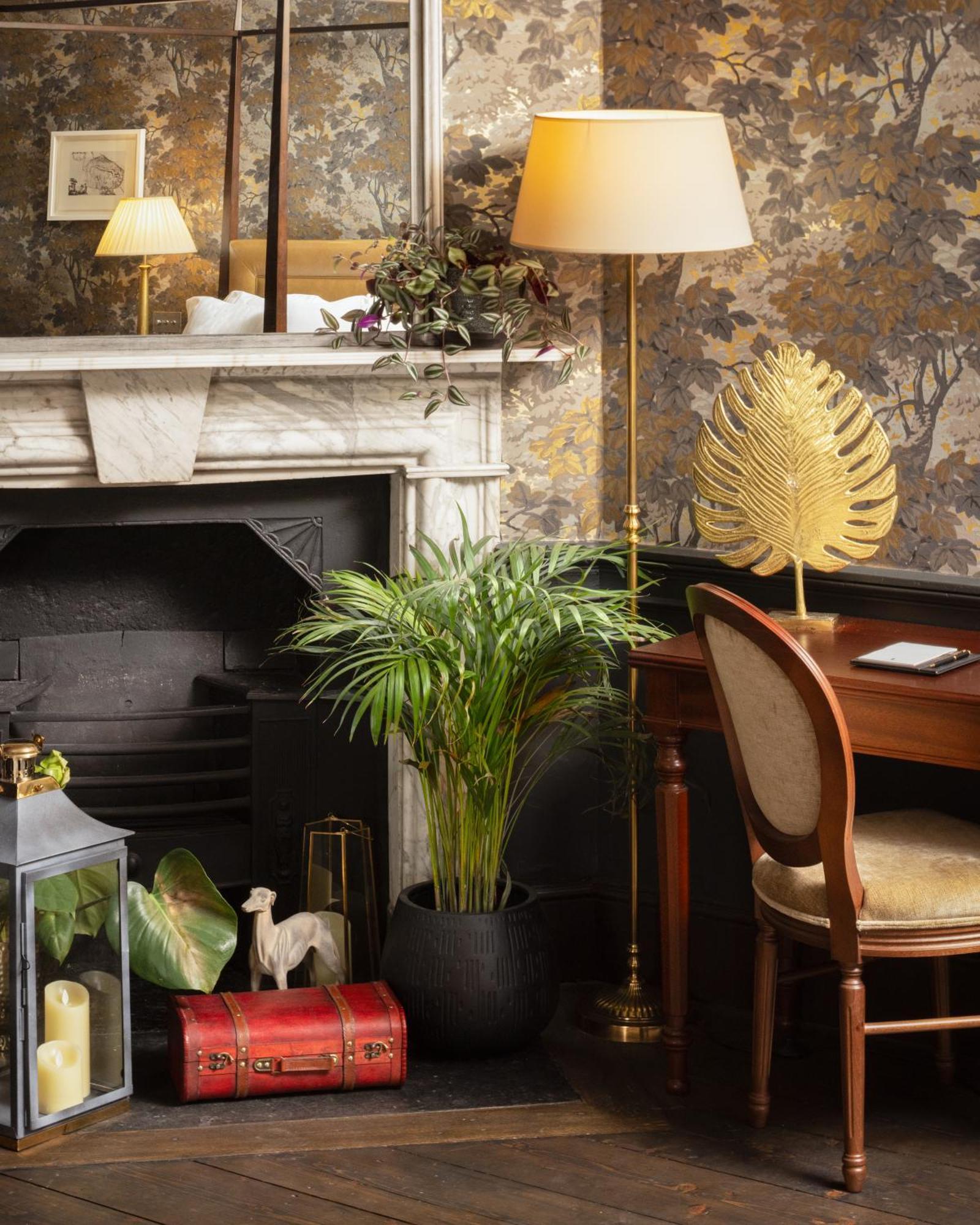 Carton House A Fairmont Managed Hotel Maynooth Extérieur photo A houseplant